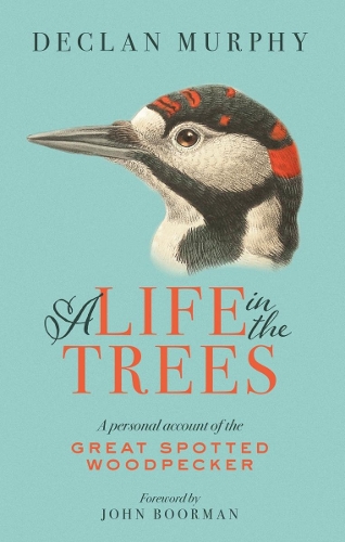 Бумажная книга «A Life In The Trees: A Personal Account of the Great Spotted Woodpecker», автор Деклан Мерфи - фото №1