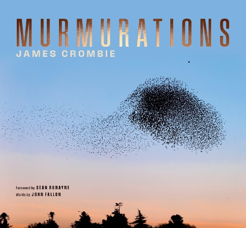Бумажная книга «Murmurations», автор Джеймс Кромби - фото №1