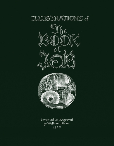 Бумажная книга «Illustrations of the Book of Job», автор Уильям Блейк - фото №1