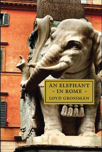 [object Object] «An Elephant in Rome: The Pope and the Making of the Eternal City», автор Лойд Гроссман - фото №1