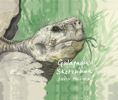 Бумажная книга «Galápagos Sketchbook», автор Дэвид Поллок - фото №1