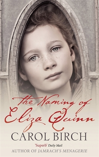 Бумажная книга «The Naming Of Eliza Quinn», автор Кэрол Берч - фото №1