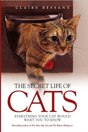 Бумажная книга «The Secret Life of Cats», автор Клэр Бессант - фото №1