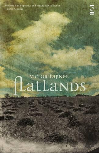 Паперова книга «Flatlands», автор Віктор Тапнер - фото №1