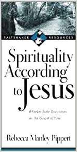 Паперова книга «Spirituality according to Jesus», автор Ребекка Менлі Піпперт - фото №1