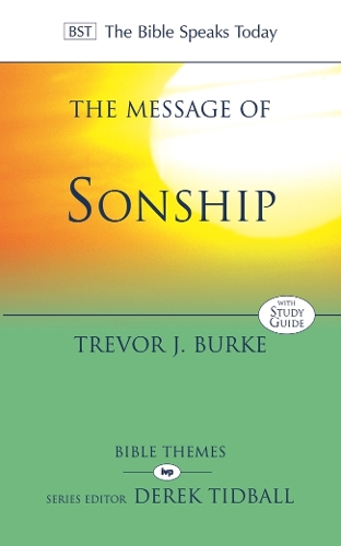 Бумажная книга «The Message of Sonship: At Home In God's Household», автор Тревор Дж. Берк - фото №1