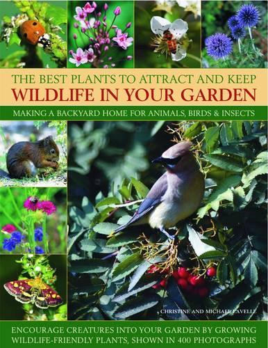 Бумажная книга «Best Plants to Attract and Keep Wildlife in the Garden», автор Кристин Лавелл - фото №1
