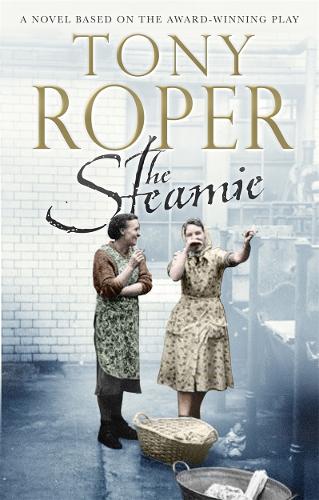 Бумажная книга «The Steamie», автор Тони Ропер - фото №1