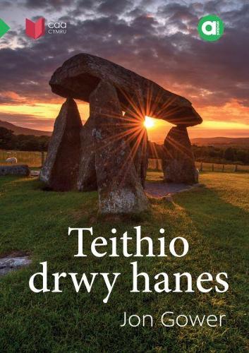Бумажная книга «Cyfres Amdani: Teithio drwy Hanes», автор Джон Гауэр - фото №1