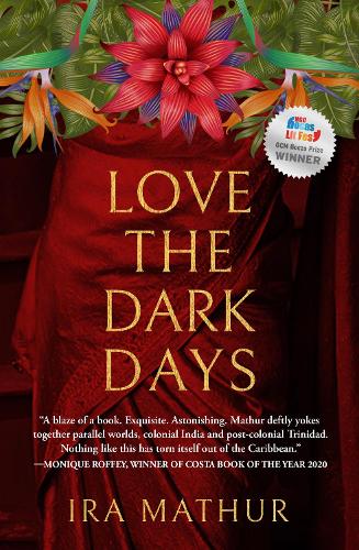 Паперова книга «Love the Dark Days», автор Айра Матур - фото №1