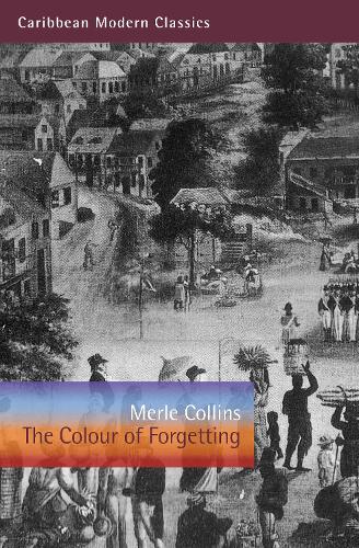 Паперова книга «The Colour of Forgetting», автор Мерл Коллінз - фото №1