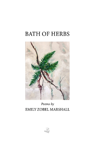 Паперова книга «Bath of Herbs», автор Емілі Зобель Маршалл - фото №1