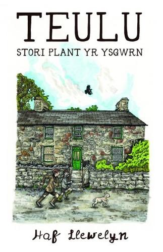 Бумажная книга «Teulu - Stori Plant yr Ysgwrn: Stori Plant yr Ysgwrn», автор Хаф Ллевелин - фото №1