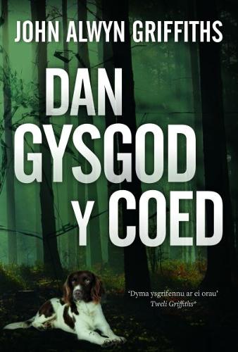 Бумажная книга «Dan Gysgod y Coed», автор Джон Олвин Гриффитс - фото №1
