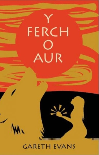 Паперова книга «Ferch o Aur, Y», автор Гарет Еванс - фото №1