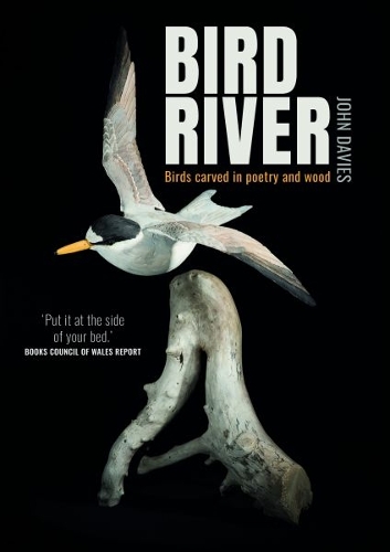 Бумажная книга «Bird River», автор Джон Дэвис - фото №1