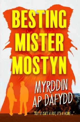 Паперова книга «Besting Mister Mostyn», автор Мірддин ап Дафидд - фото №1