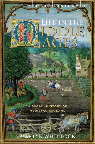 Паперова книга «A Brief History of Life in the Middle Ages», автор Мартін Вітток - фото №1