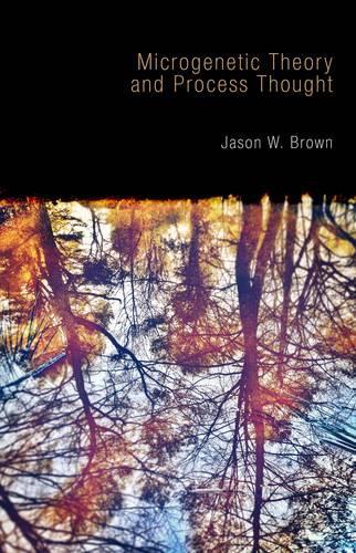Бумажная книга «Microgenetic Theory and Process Thought», автор Джейсон В. Браун - фото №1