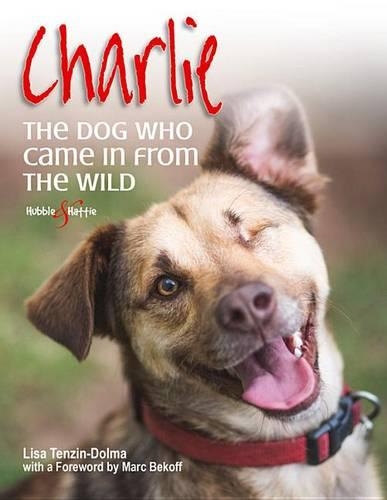 Бумажная книга «Charlie: the Dog Who Came in from the Wild», автор Лиза Тензин-Долма - фото №1