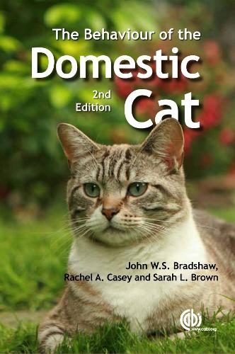 Бумажная книга «Behaviour of the Domestic Cat», авторов Рэйчел Кейси, Сара Браун - фото №1