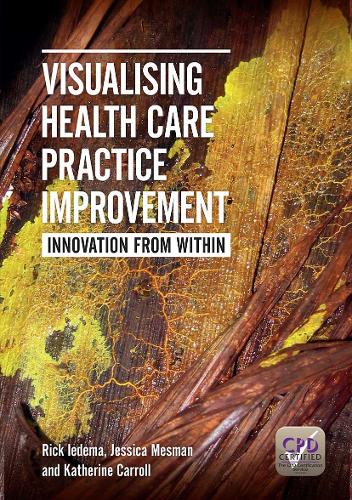 Паперова книга «Visualising Health Care Practice Improvement: Innovation from Within», авторів Джессіка Месман, Кетрін Керролл, Рік Ідема - фото №1