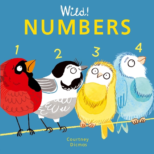 Паперова книга «Numbers», автор Кортні Дікмас - фото №1