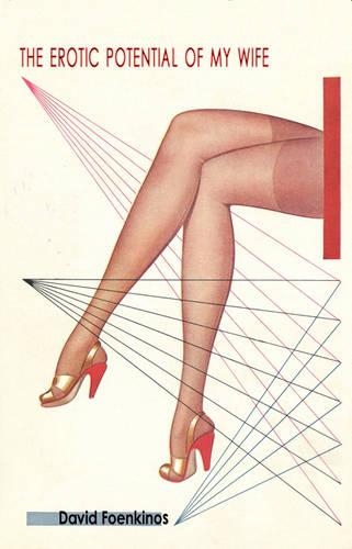 Бумажная книга «The Erotic Potential of My Wife», автор Дэвид Фоенкинос - фото №1