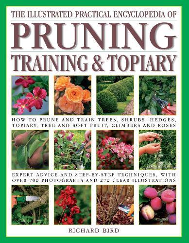 Бумажная книга «The Pruning, Training & Topiary, Illustrated Practical Encyclopedia of : How to prune and train trees, shrubs, hedges, topiary, tree and soft fruit, climbers and roses; practical advice and step-by-step techniques,  with over 700  photographs and 270 prac», автор Ричард Берд - фото №1