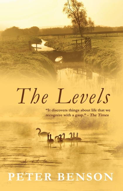 Паперова книга «The Levels» - фото №1