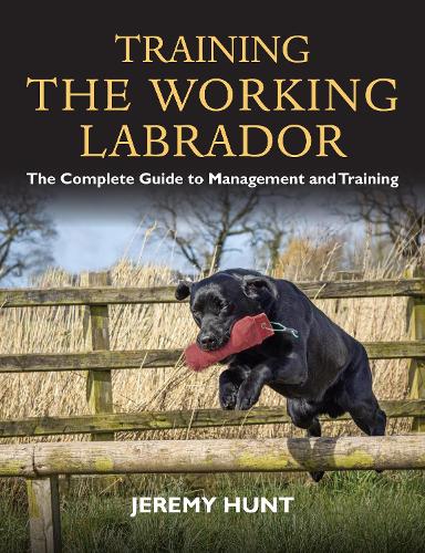 [object Object] «Training the Working Labrador: The Complete Guide to Management and Training», автор Джеремі Хант - фото №1