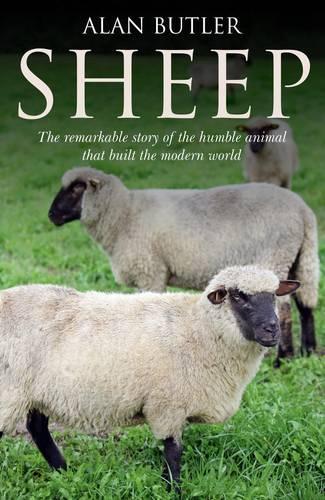 Бумажная книга «Sheep – The remarkable story of the humble animal that built the modern world.», автор Алан Батлер - фото №1