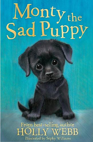 Паперова книга «Monty the Sad Puppy», автор Холлі Вебб - фото №1