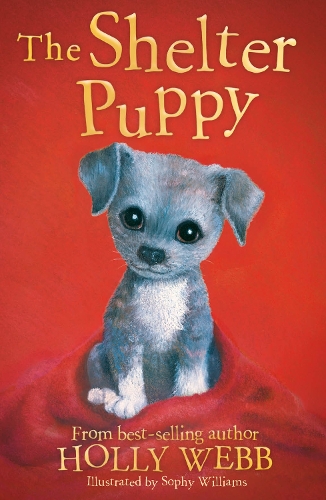 Бумажная книга «The Shelter Puppy», автор Холли Вебб - фото №1
