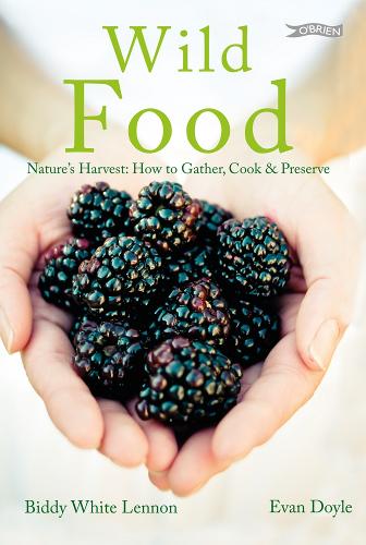 Бумажная книга «Wild Food: Nature's Harvest: How to Gather, Cook and Preserve», авторов Бидди Уайт Леннон, Эван Дойл - фото №1