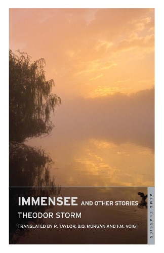 Бумажная книга «Immensee and Other Stories», автор Теодор Сторм - фото №1