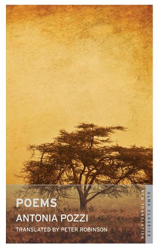 Паперова книга «Poems», автор Антонія Поцці - фото №1