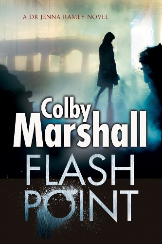 Бумажная книга «Flash Point», автор Колби Маршалл - фото №1