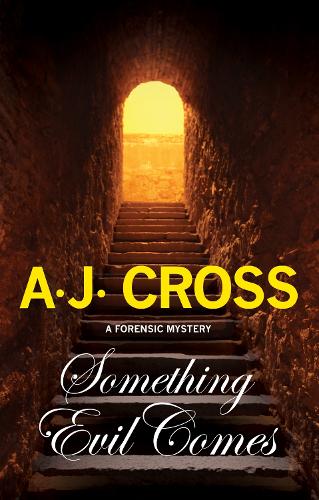 Бумажная книга «Something Evil Comes», автор А.Дж. Кросс - фото №1