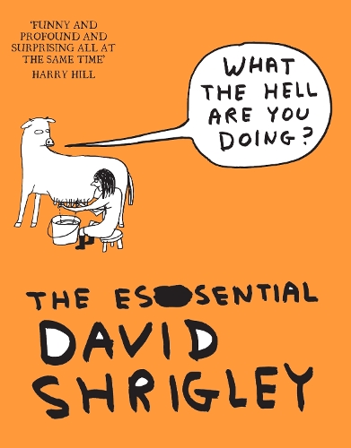 Бумажная книга «What The Hell Are You Doing?: The Essential David Shrigley», автор Дэвид Шригли - фото №1