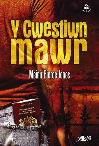 Бумажная книга «Cyfres yr Onnen: Y Cwestiwn Mawr», автор Мейнир Пирс Джонс - фото №1
