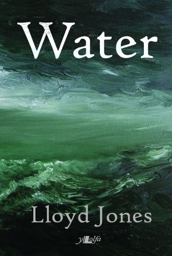 Бумажная книга «Water», автор Ллойд Джонс - фото №1