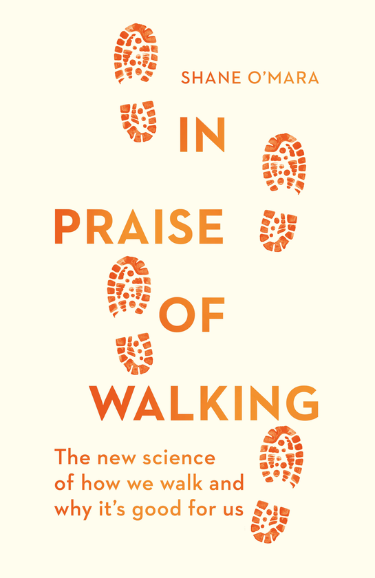 Бумажная книга «In Praise of Walking», автор Шейн О'Мара - фото №1
