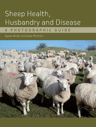 Бумажная книга «Sheep Health, Husbandry and Disease: A Photographic Guide», автор Агнес К. Винтер - фото №1