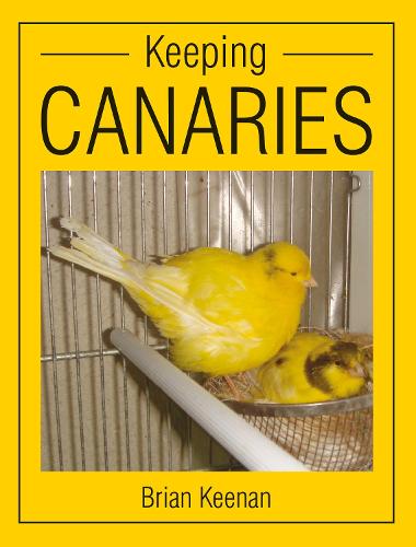 Паперова книга «Keeping Canaries», автор Брайан Кінен - фото №1
