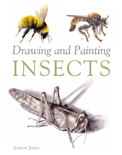 Бумажная книга «Drawing and Painting Insects», автор Эндрю Тизак - фото №1