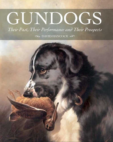 Бумажная книга «Gundogs: Their Past, Their Performance and Their Prospects», автор Дэвид Хэнкок - фото №1