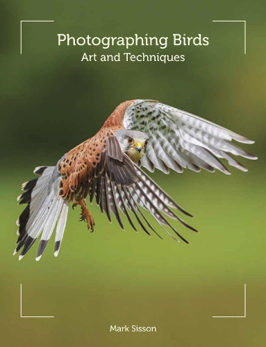 Бумажная книга «Photographing Birds: Art and Techniques», автор Марк Сиссон - фото №1