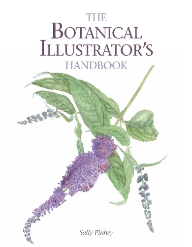 Бумажная книга «The Botanical Illustrator's Handbook», автор Салли Пинхи - фото №1
