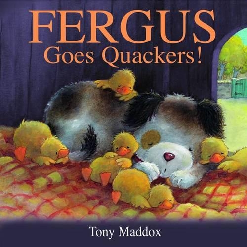 Бумажная книга «Fergus Goes Quackers», автор Тони Мэддокс - фото №1